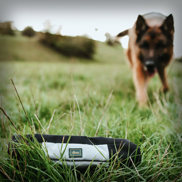 HUNTER TRAINER SNACK DUMMY