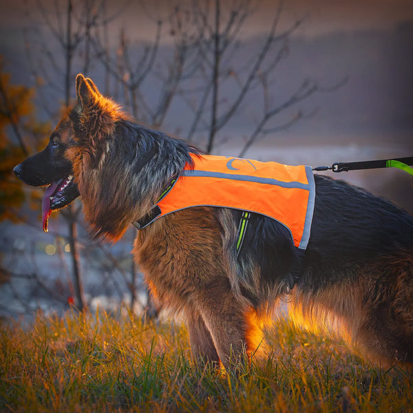 AXAECO TRAPPER WARN WESTE