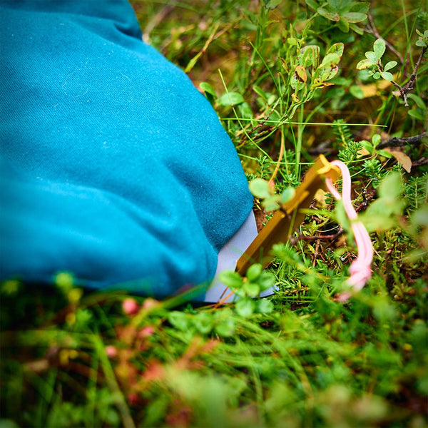 NON-STOP TREKKING DOG BED