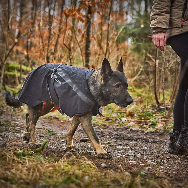 TREKKING RAINCOAT