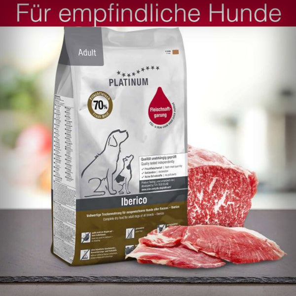 ADULT IBERICO SCHWEIN