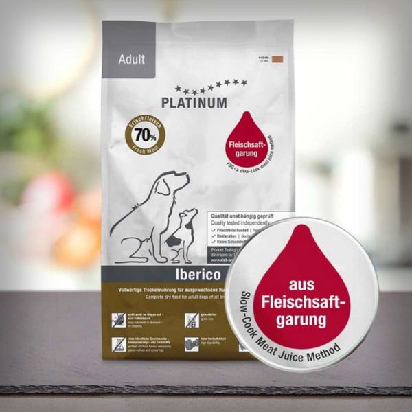 ADULT IBERICO SCHWEIN