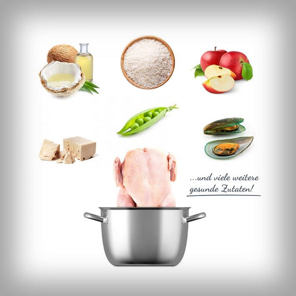 VETACTIVE SENIOR HUHN