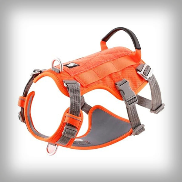 TRUE LOVE ESCAPE GESCHIRR