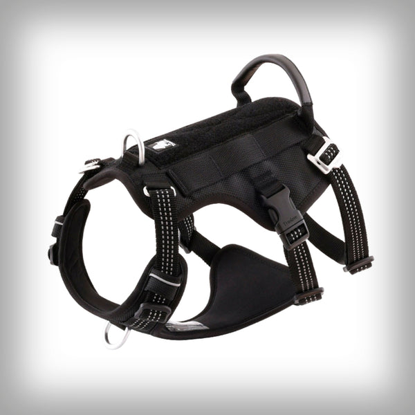 TRUE LOVE ESCAPE GESCHIRR