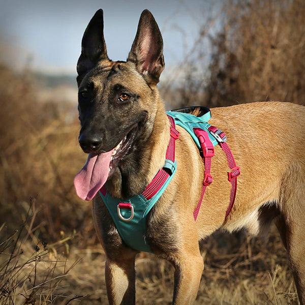 TRUE LOVE TACTICAL GESCHIRR