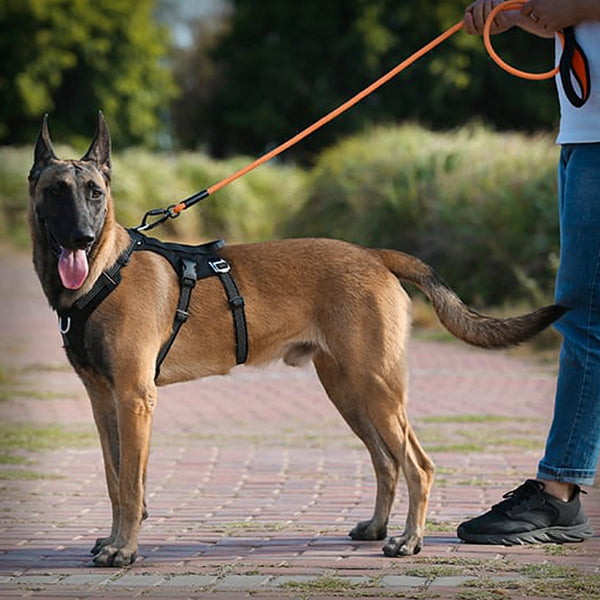 TRUE LOVE TACTICAL GESCHIRR