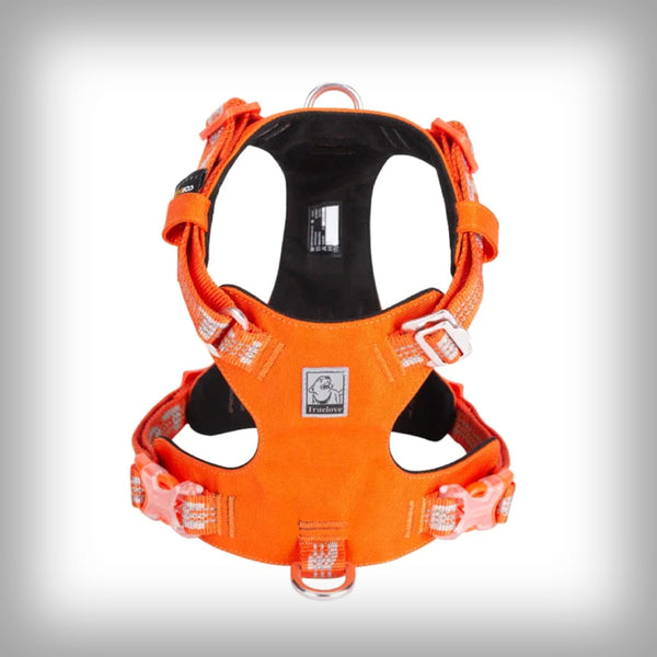 TRUE LOVE GESCHIRR COLORADO+