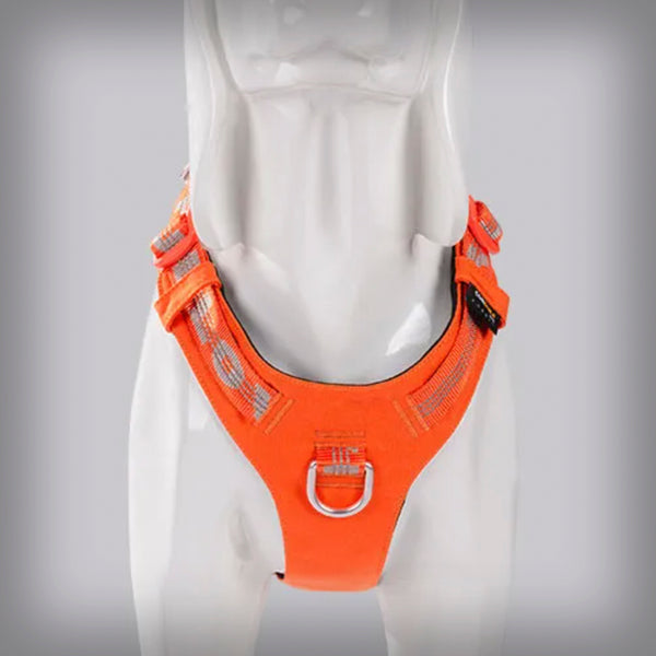 TRUE LOVE GESCHIRR COLORADO+