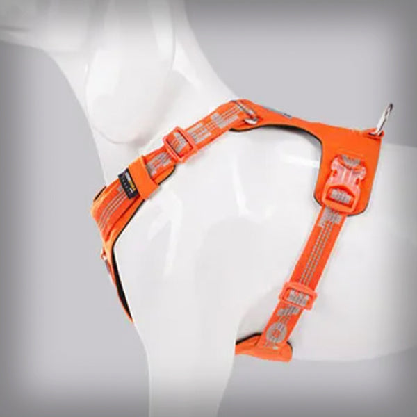 TRUE LOVE GESCHIRR COLORADO+