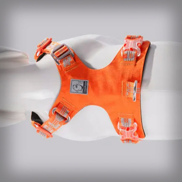 TRUE LOVE GESCHIRR COLORADO+