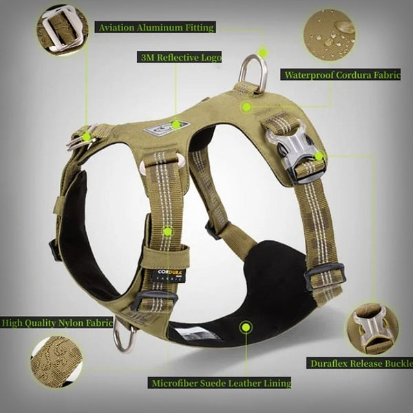 TRUE LOVE GESCHIRR COLORADO+