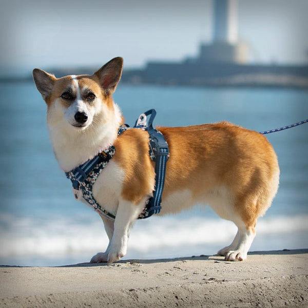 TRUE LOVE GESCHIRR FLOWER