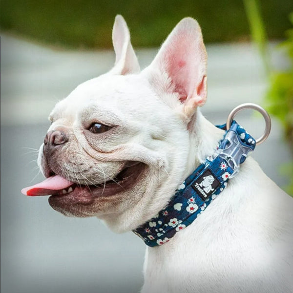 TRUE LOVE HALSBAND FLOWER