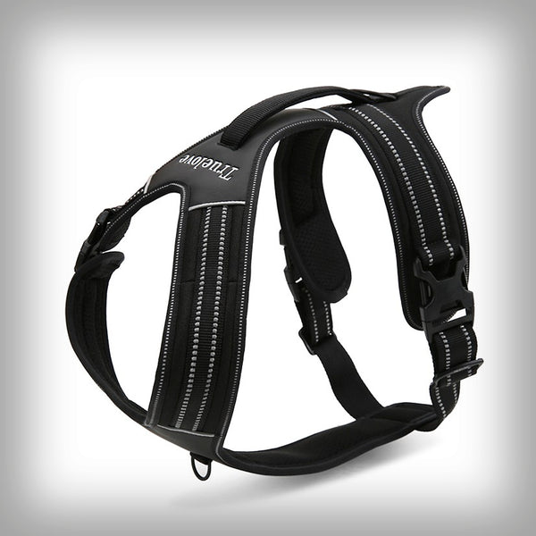 BRUSTGESCHIRR TL SKADI PLUS