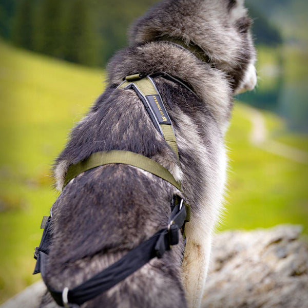 V.I.P. MULTISPORT STAFF ARBEITSGESCHIRR