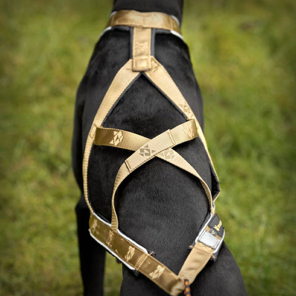 V.I.P. R-BACK ZUGGESCHIRR BRONCE