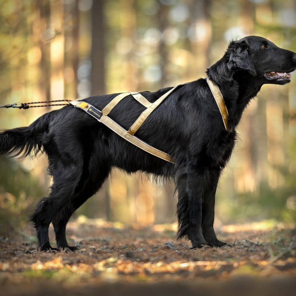 V.I.P. R-BACK ZUGGESCHIRR BRONCE