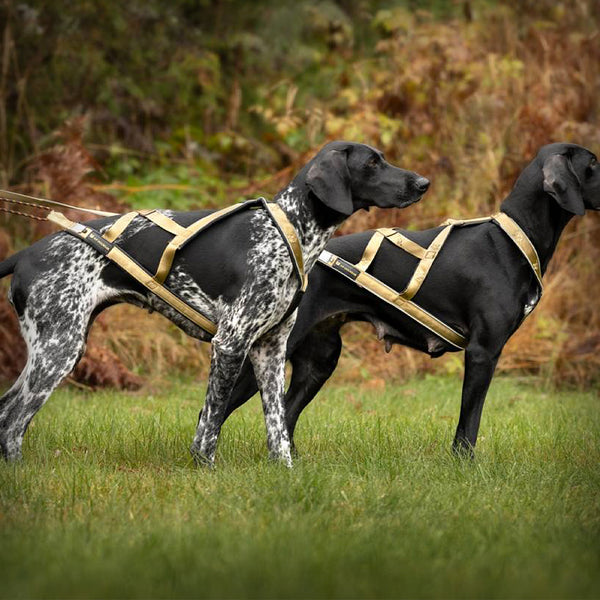 V.I.P. X-BACK ZUGGESCHIRR BRONCE