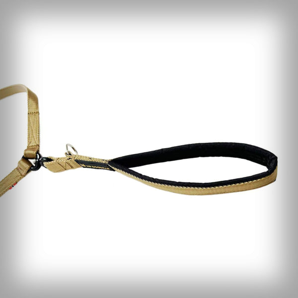 VIP ZWEIER ALLTAGSLEINE NORDIC GOLD