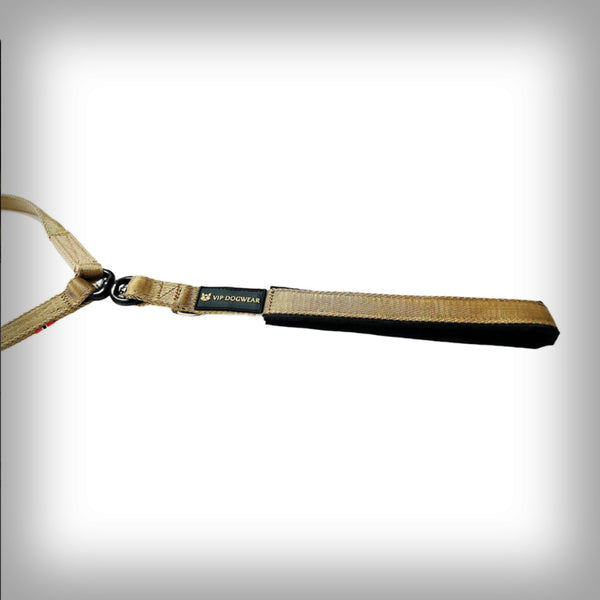 VIP ZWEIER ALLTAGSLEINE NORDIC GOLD