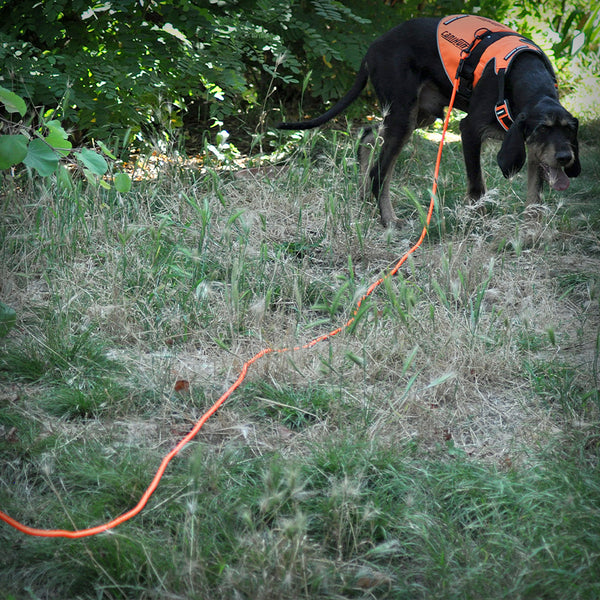 CANIHUNT LONG X-TREME