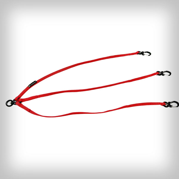 V.I.P. SPLITTER FÜR DREI HUNDE