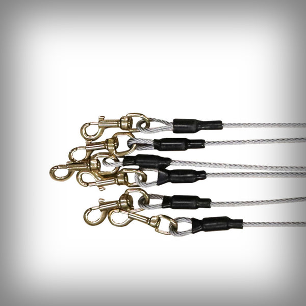 STAKE OUT FÜR 10 HUNDE