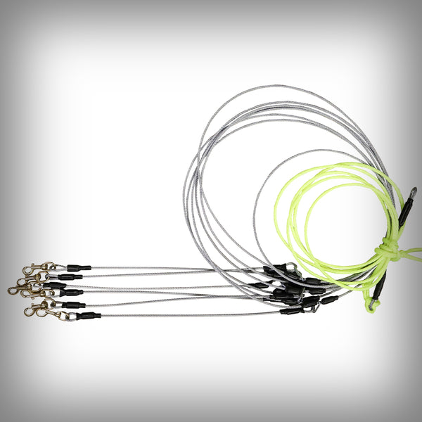 STAKE OUT FÜR 10 HUNDE