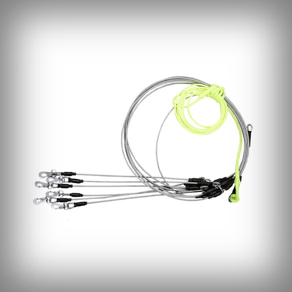 STAKE OUT FÜR 6 HUNDE