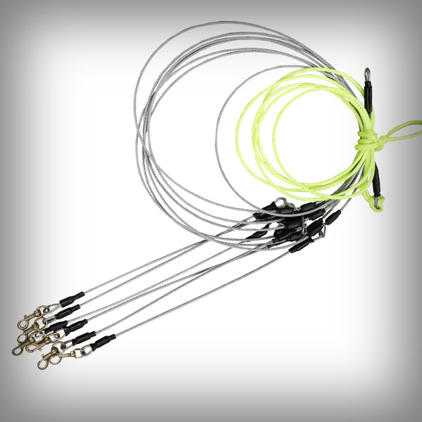 STAKE OUT FÜR 6 HUNDE