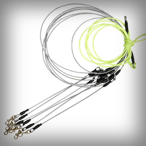 STAKE OUT FÜR 8 HUNDE