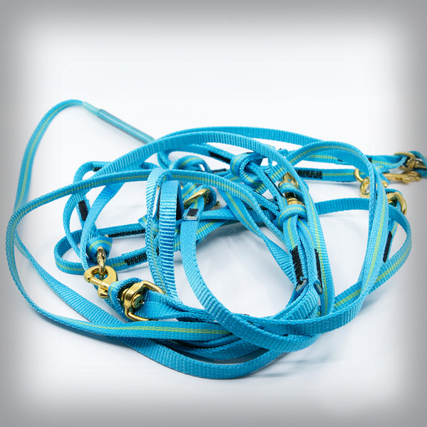 DYNEMA JÖRINGLEINE FÜR 3 BIS 4 HUNDE