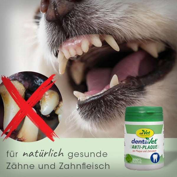 DENTAVET ANTI-PLAQUE