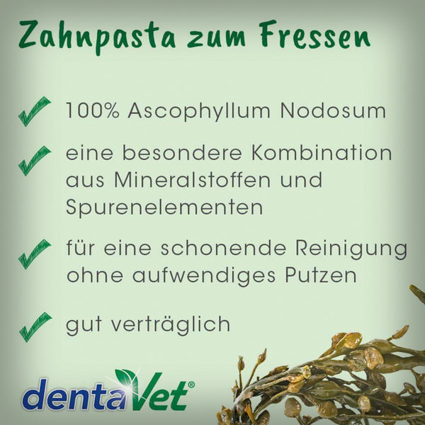 DENTAVET ANTI-PLAQUE