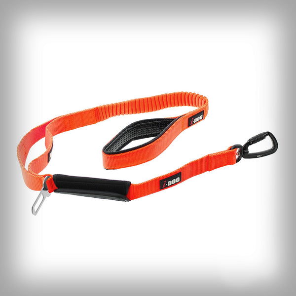 KURZLEINE FÜR AUTOGURT