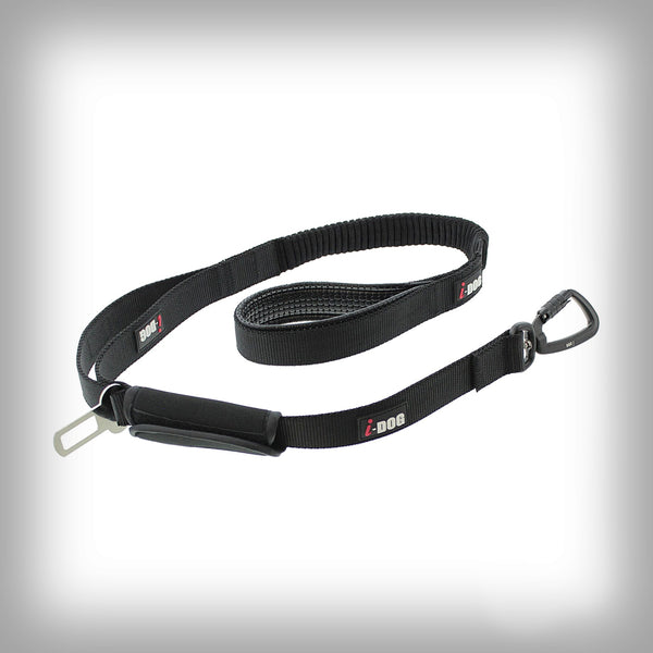 KURZLEINE FÜR AUTOGURT