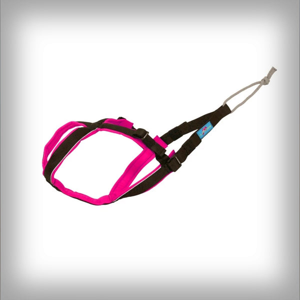 ZUGGESCHIRR OPEN BACK