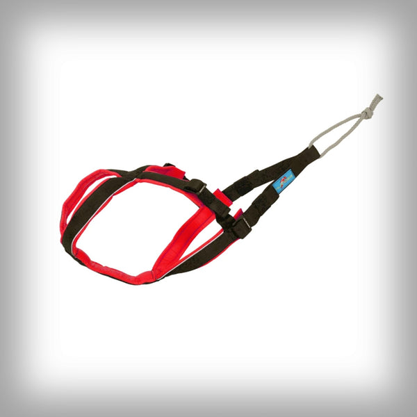 ZUGGESCHIRR OPEN BACK