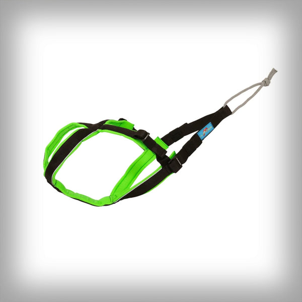 ZUGGESCHIRR OPEN BACK