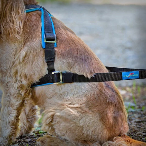 ZUGGESCHIRR OPEN BACK