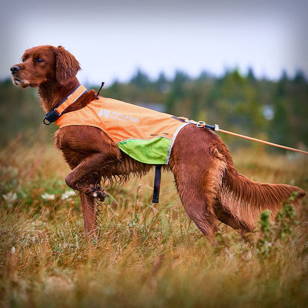 NON-STOP PROTECTOR LEINE