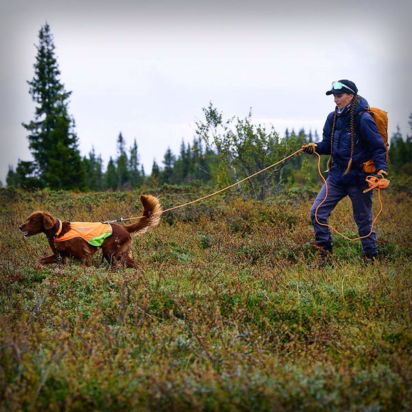 NON-STOP PROTECTOR LEINE