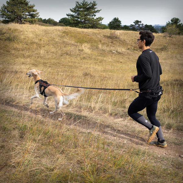 TRAIL LIGHT BELT MIT 5 TASCHEN