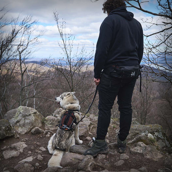 TRAIL LIGHT BELT MIT 5 TASCHEN