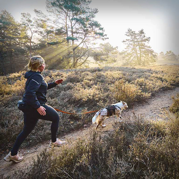 TRAIL LIGHT BELT MIT 5 TASCHEN