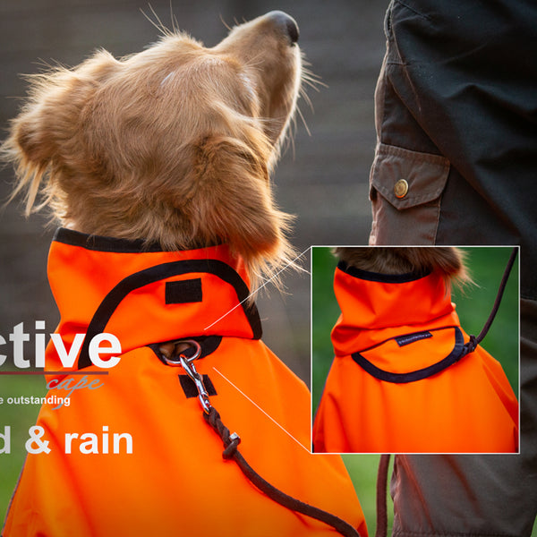 ACTIVE CAPE WIND & RAIN