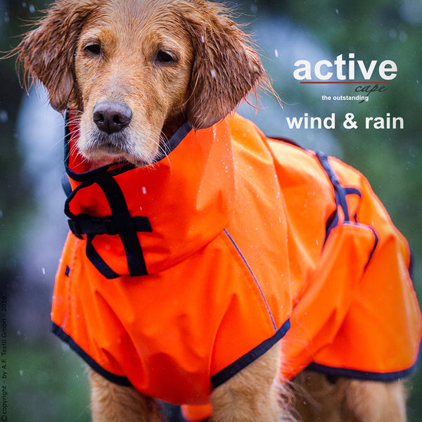 ACTIVE CAPE WIND & RAIN