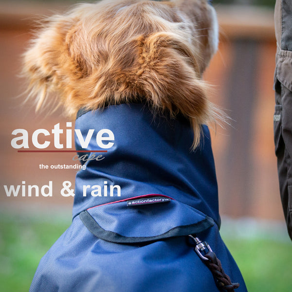 ACTIVE CAPE WIND & RAIN