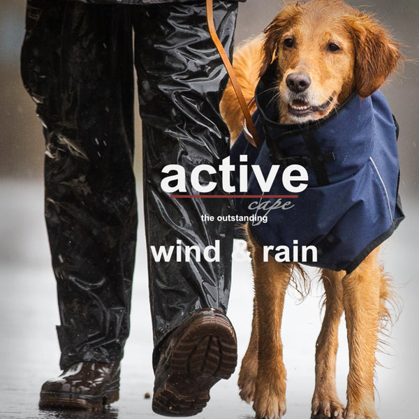 ACTIVE CAPE WIND & RAIN